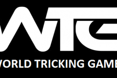 world tricking games (1)