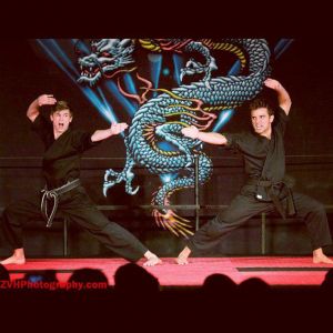 Hyper Martial Arts (20)