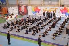 world federation tricking - wft (8)
