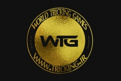 world tricking games (14)
