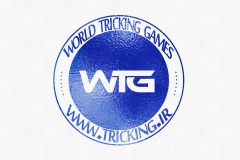 world tricking games (15)