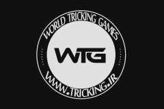 world tricking games (16)