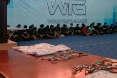 world tricking games (21)