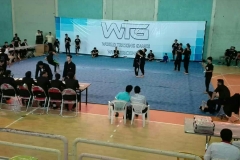 world tricking games (23)