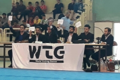 world tricking games (25)