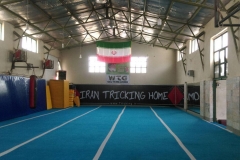 world tricking games (253)