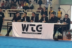 world tricking games (30)