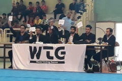 world tricking games (31)