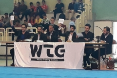 world tricking games (32)