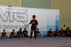 world tricking games (35)