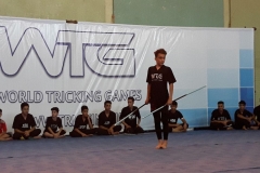 world tricking games (36)
