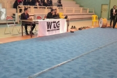 world tricking games (39)