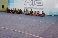 world tricking games (40)