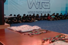 world tricking games (42)
