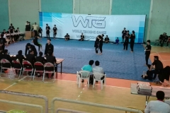 world tricking games (47)