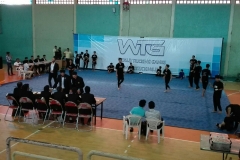 world tricking games (48)