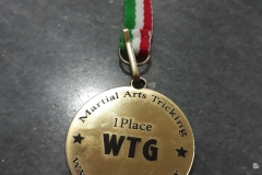 world tricking games (50)