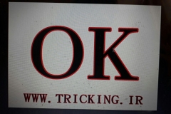 world tricking games (52)