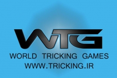world tricking games (59)