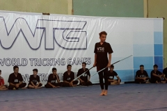 world tricking games (60)
