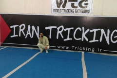 world tricking games (67)