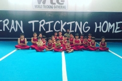 world tricking games (69)