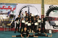 world tricking games (88)